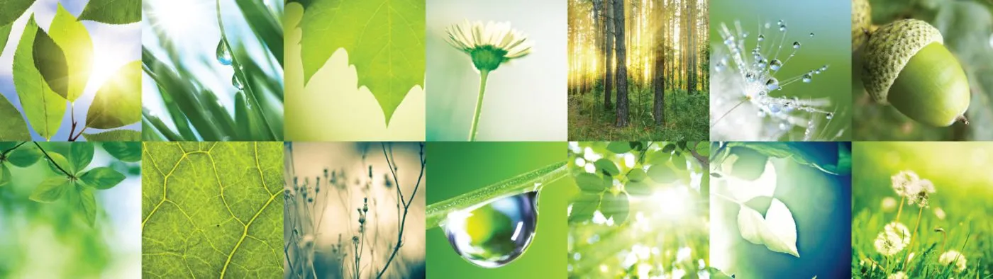 Environmental Policy